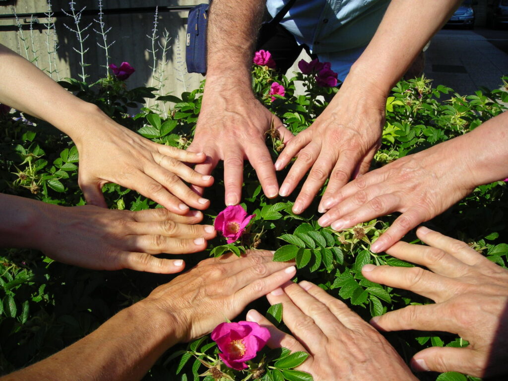 Mehrere Hände liegen einander zugewandt auf blühenden Sträuchern, symbolisierend Gemeinschaft und Naturverbundenheit.